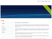 Tablet Screenshot of aefiol.com